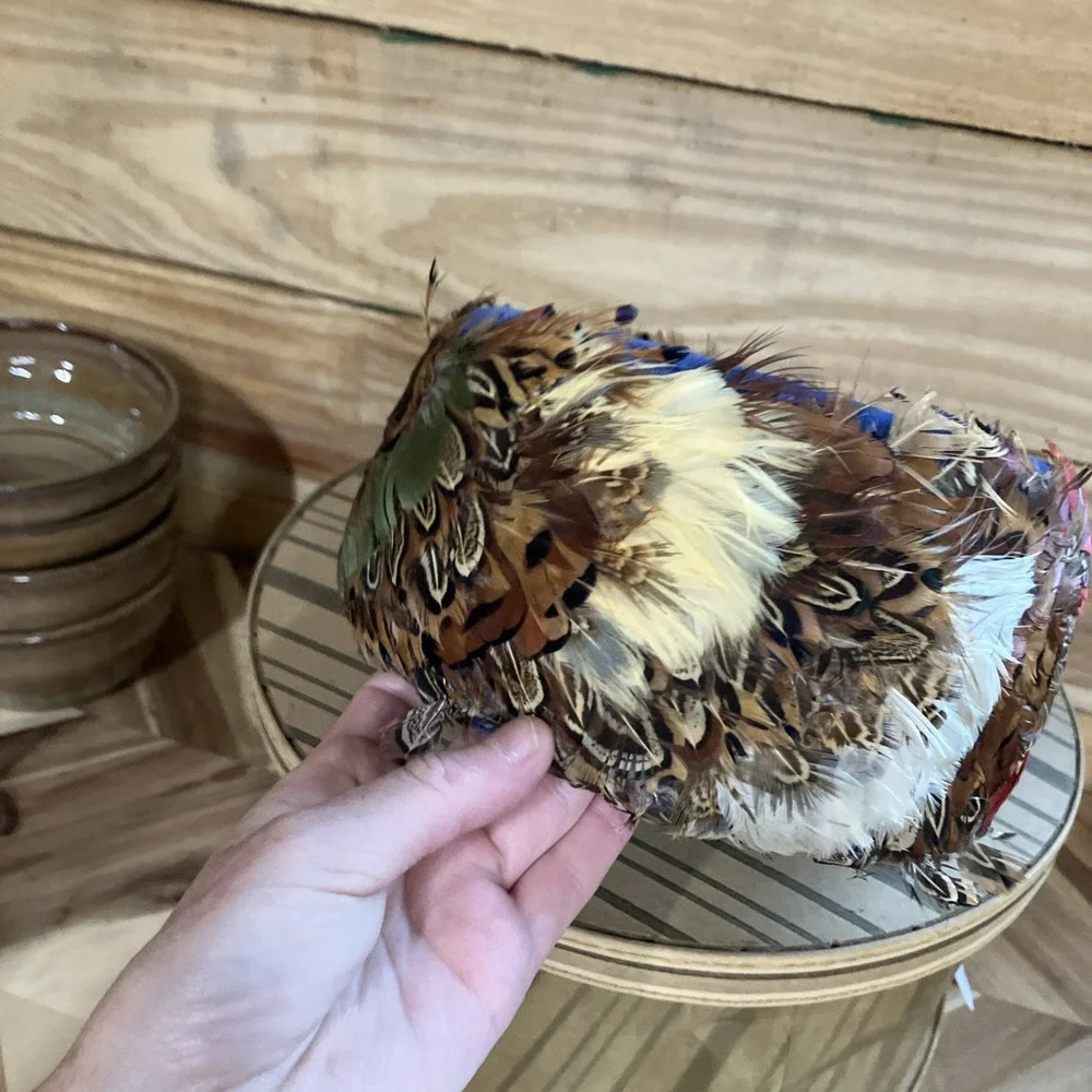 Ostrich Plume Feather Pirate/Steampunk/Fancy Victorian Hat